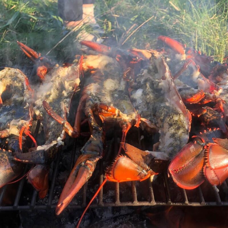 Homard sur un grill avec du beurre à la laitue de mer.