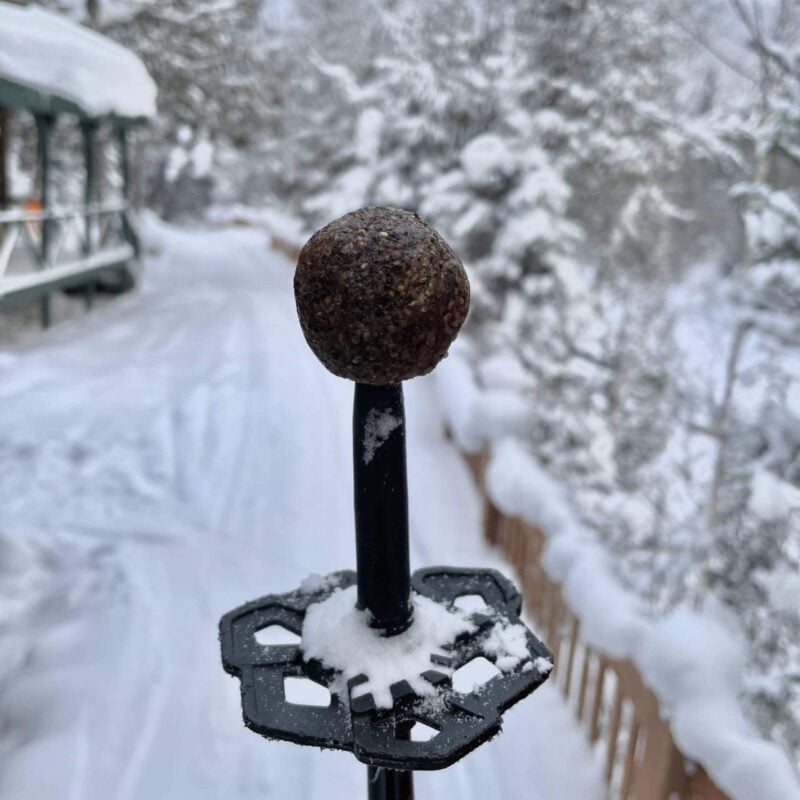 Boule d'énergie à la nori dehors pour les oiseaux sur un pic en hiver.