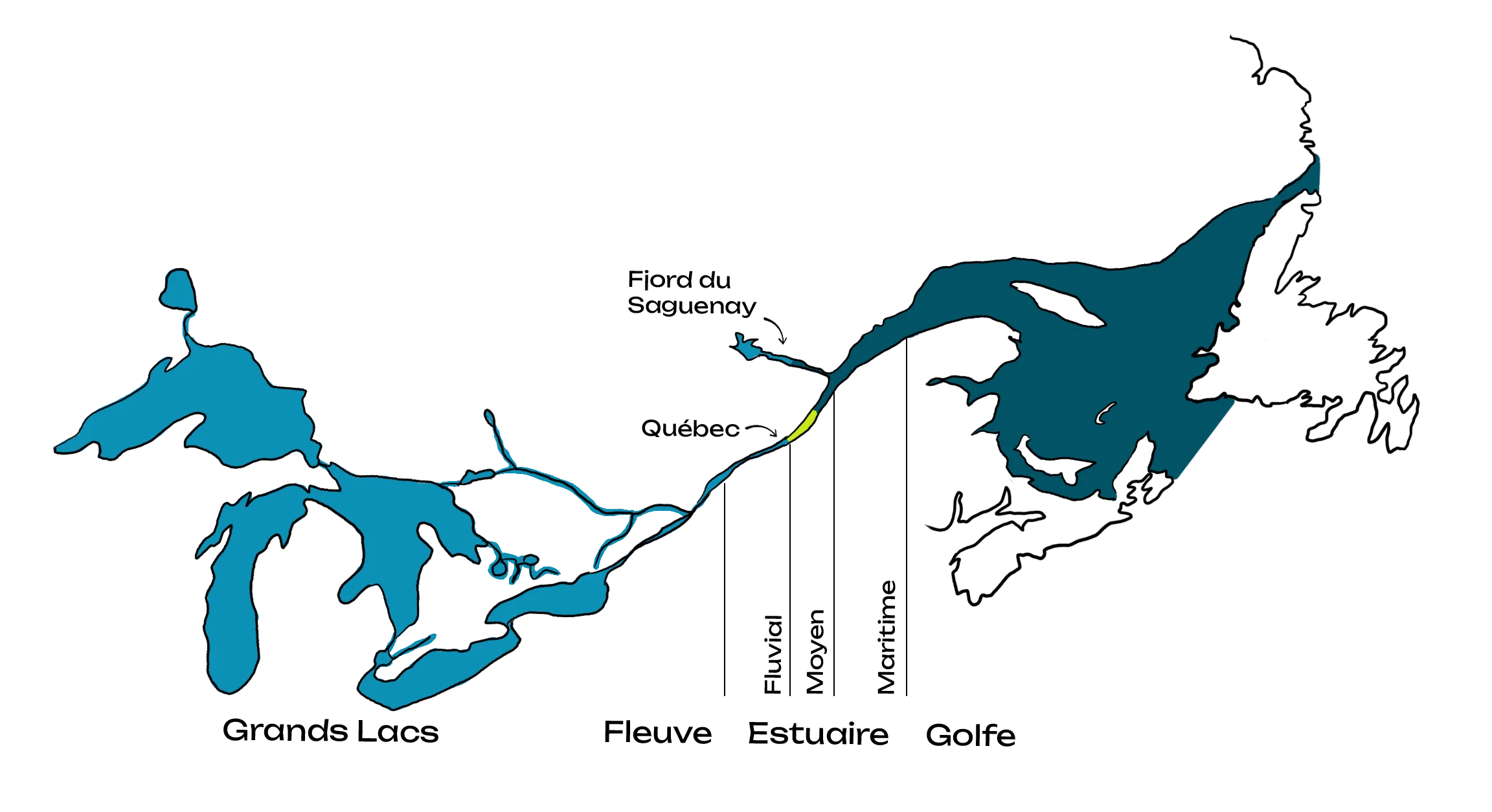 Illustration couleur du Saint-Laurent en vue aérienne, depuis les Grands Lacs jusqu'au golfe du Saint-Laurent. Indication de la partie fleuve, estuaire fluvial, moyen et maritime et du golfe.