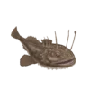 Colour illustration of a monkfish.