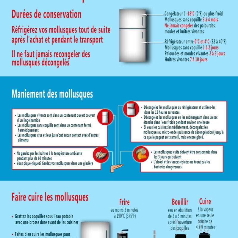 Document détaillant les mesures de précaution quant à la consommation des mollusques. Information sur la conservation, le maniement et la cuisson. Pour une description détaillée, accède au texte alternatif détaillé en-dessous de cette image.