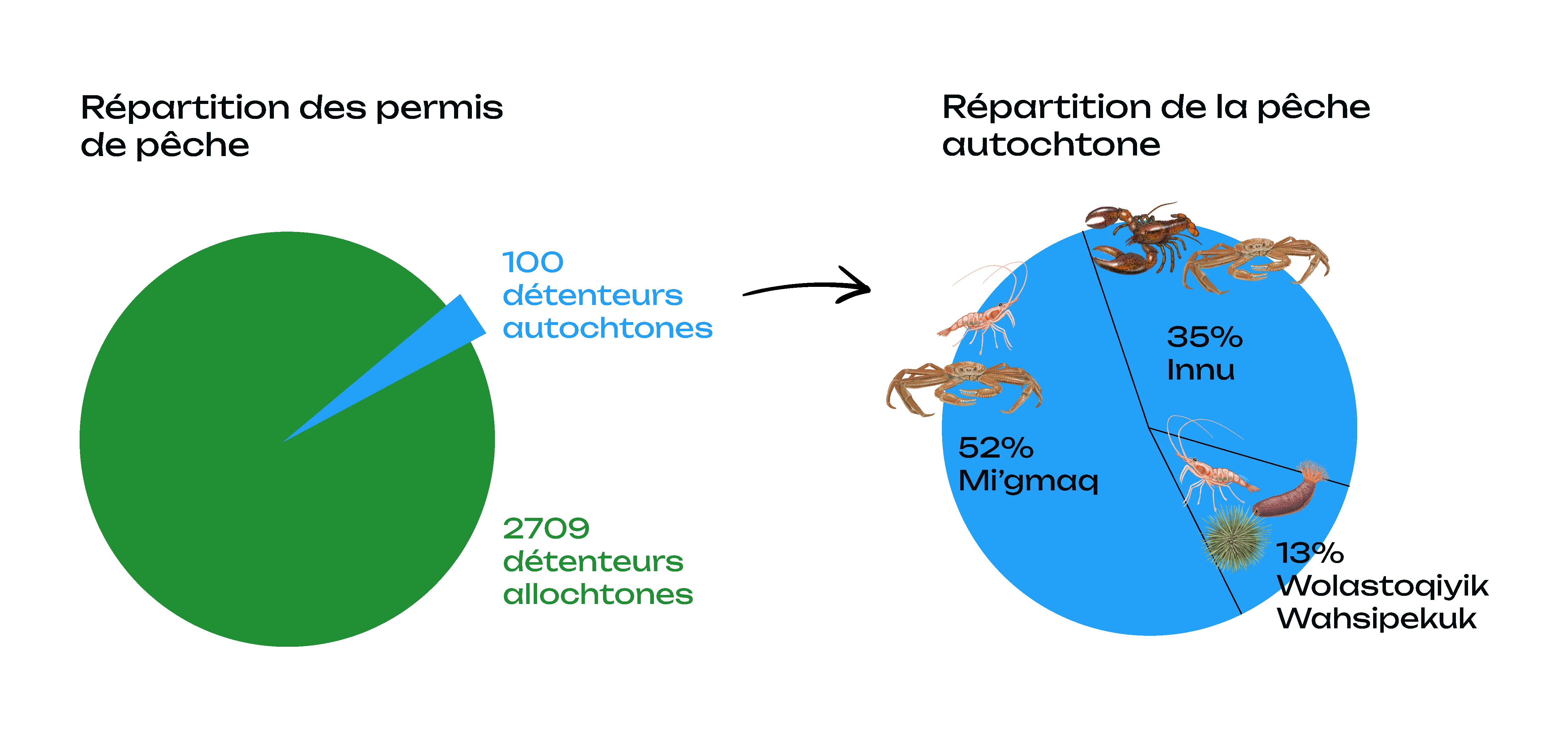 Deux graphiques circulaires représentant respectivement la répartition des permis de pêche et la répartition de la pêche autochtone. Pour une description détaillée, accède à la "description longue" en-dessous de cette image.