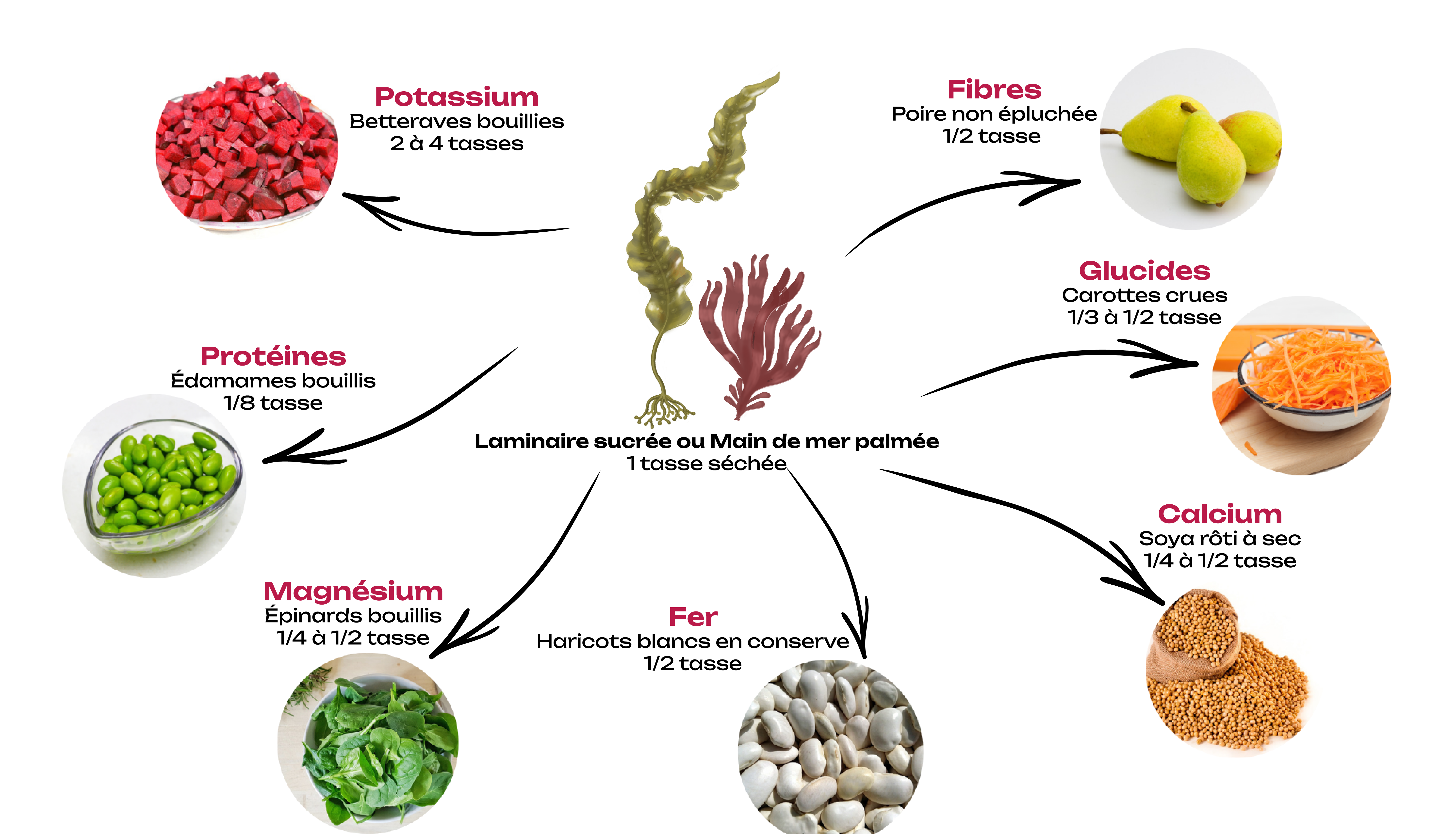 Schéma représentant des équivalences de nutriments entre les algues et d'autres aliments. Pour une description détaillée, accède à la "description longue" en dessous de cette image.