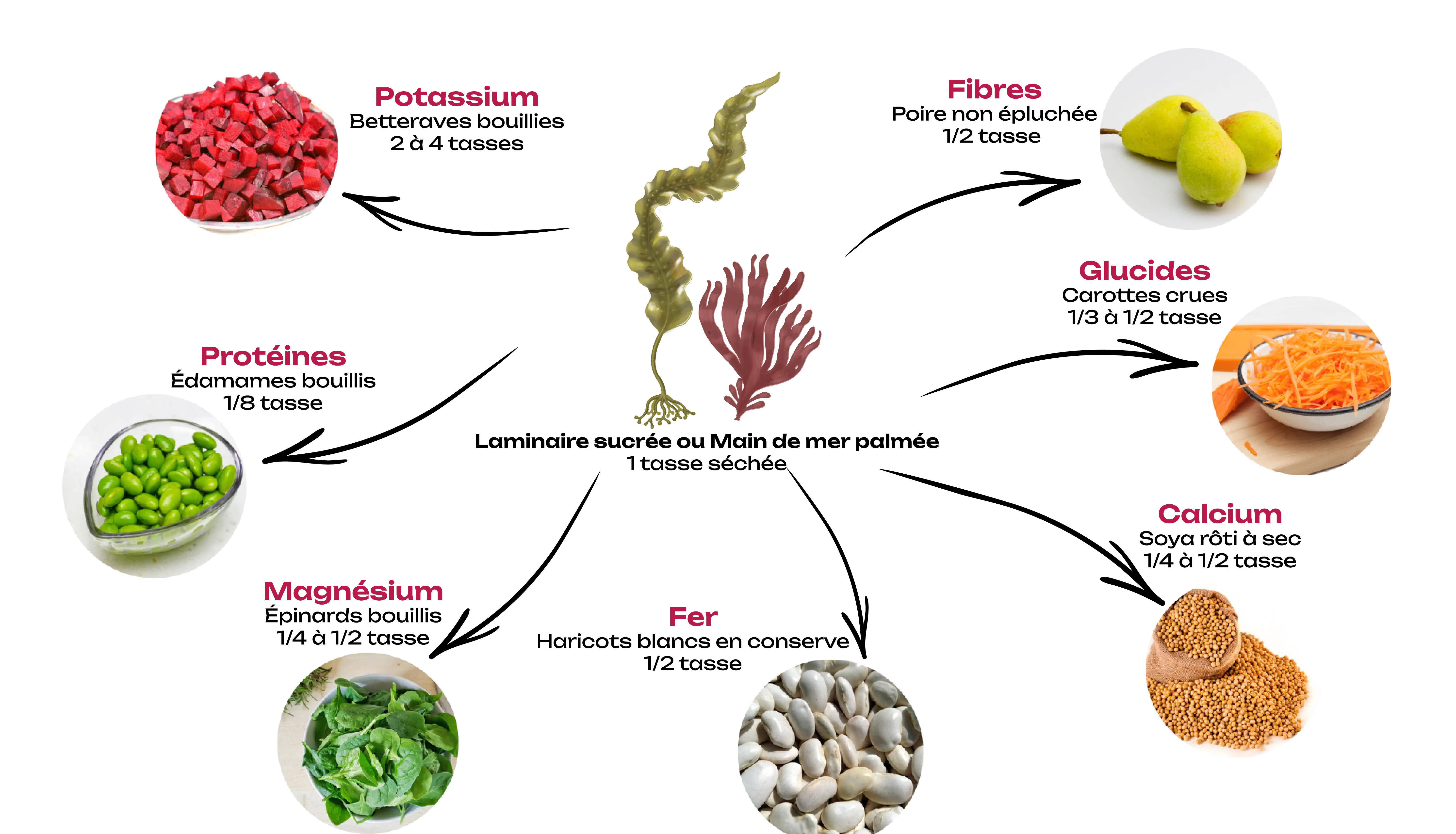 Schéma représentant des équivalences de nutriments entre les algues et d'autres aliments. Pour une description détaillée, accède à la "description longue" en dessous de cette image.