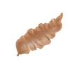 Colour illustration of a laver seaweed.