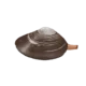 Colour illustration of a Stimpson's surf clam.