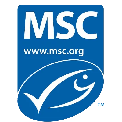 MSC logo.