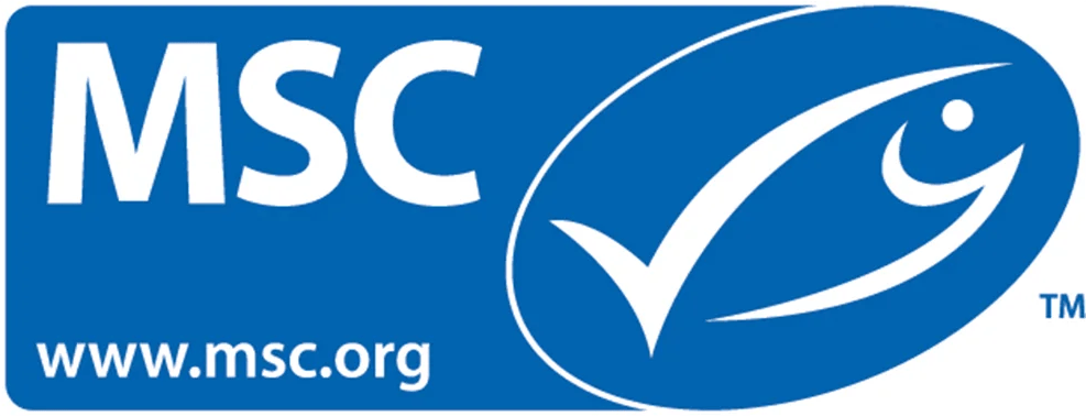 MSC colour logo