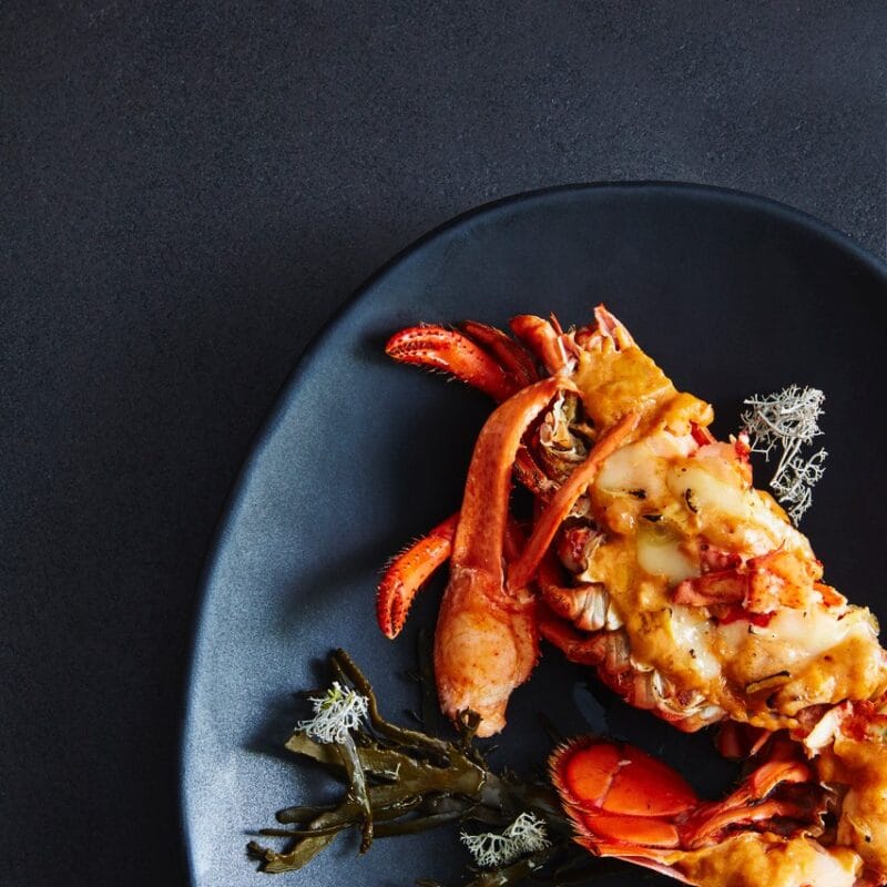 Photographie d'un plat à base de homard gratiné dans une assiette noire, avec des algues en décoration sur le côté.