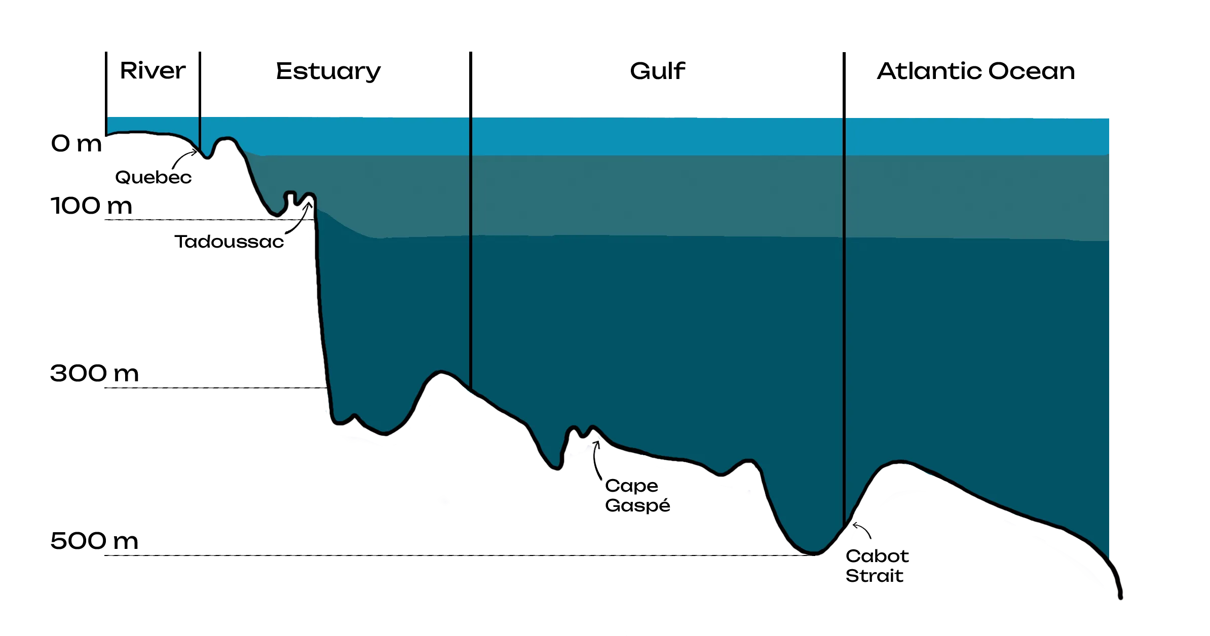 Colour illustration of the depth of the St. Lawrence, seen in a cross-section between Quebec City and Cabot Strait.