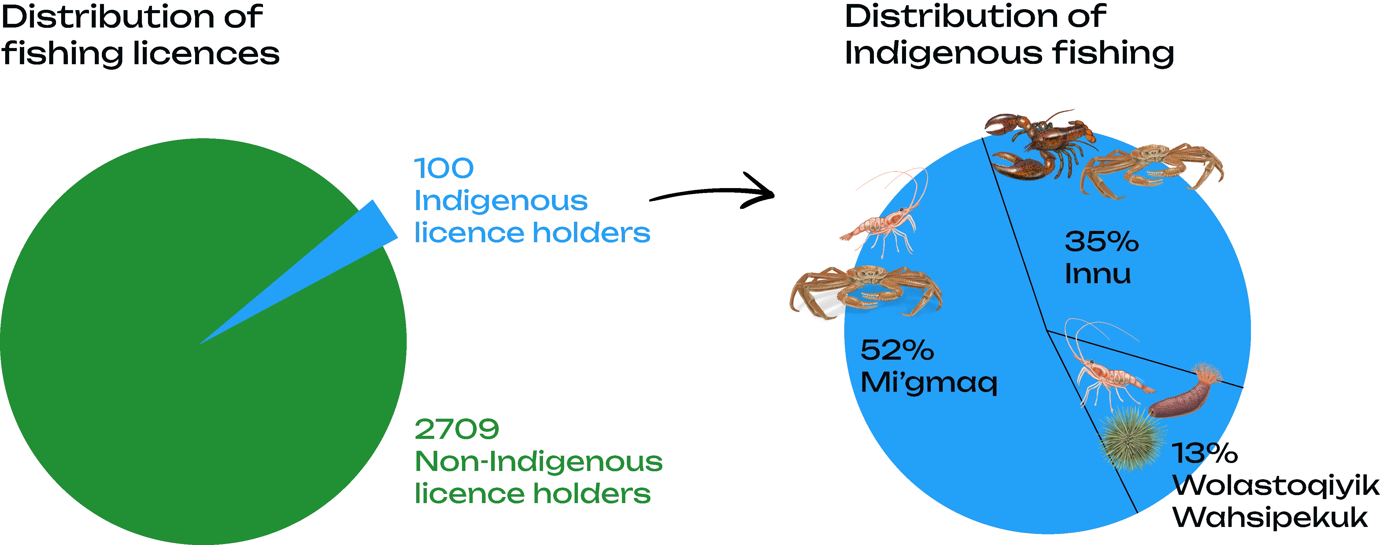 Two pie charts showing, respectively, the distribution of fishing licences and the distribution of native fishing. For a detailed description, see the "long description" below this image.