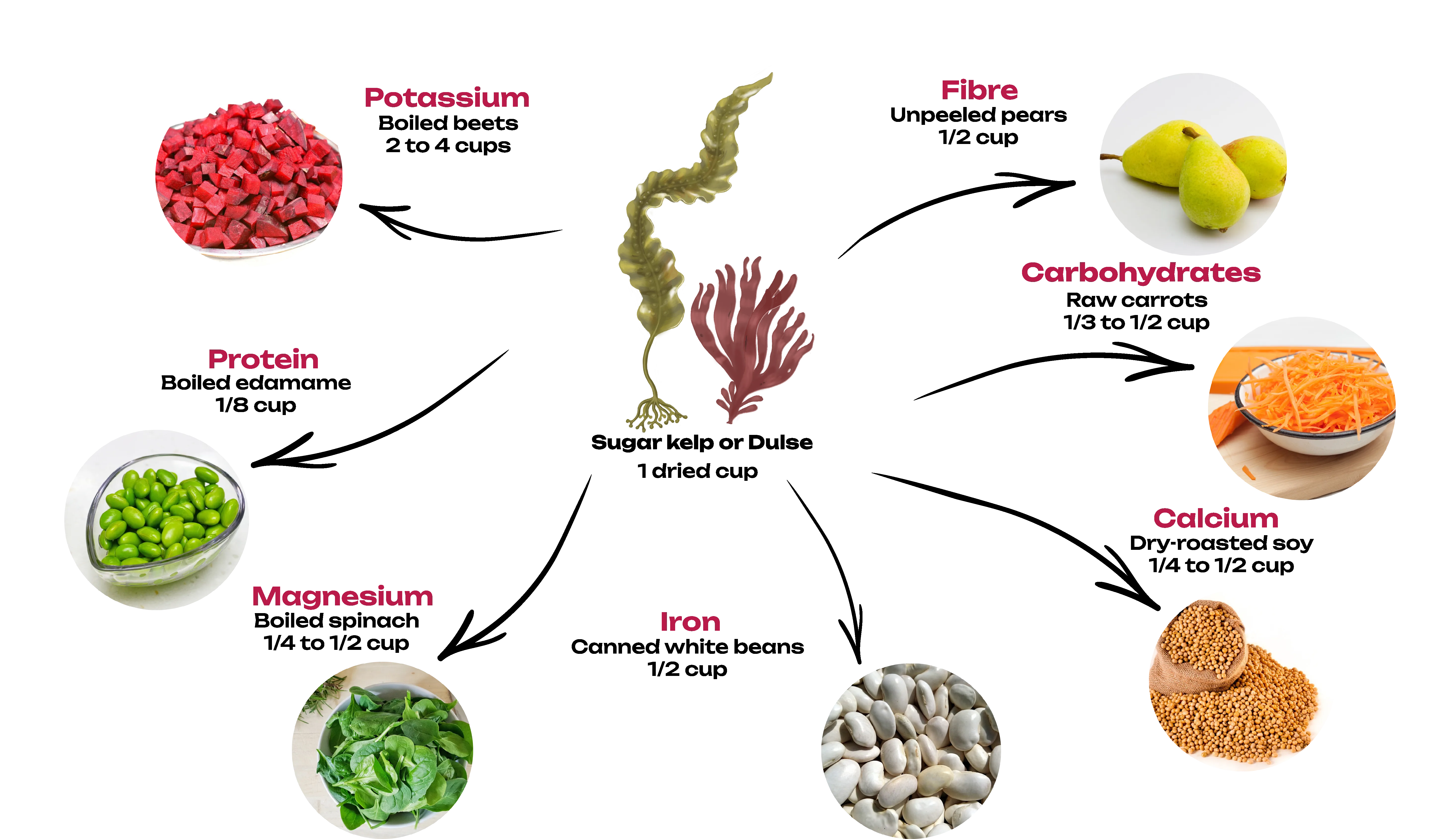 Diagram showing the nutrient equivalents between seaweed and other foods. For a detailed description, see the "long description" below this image.