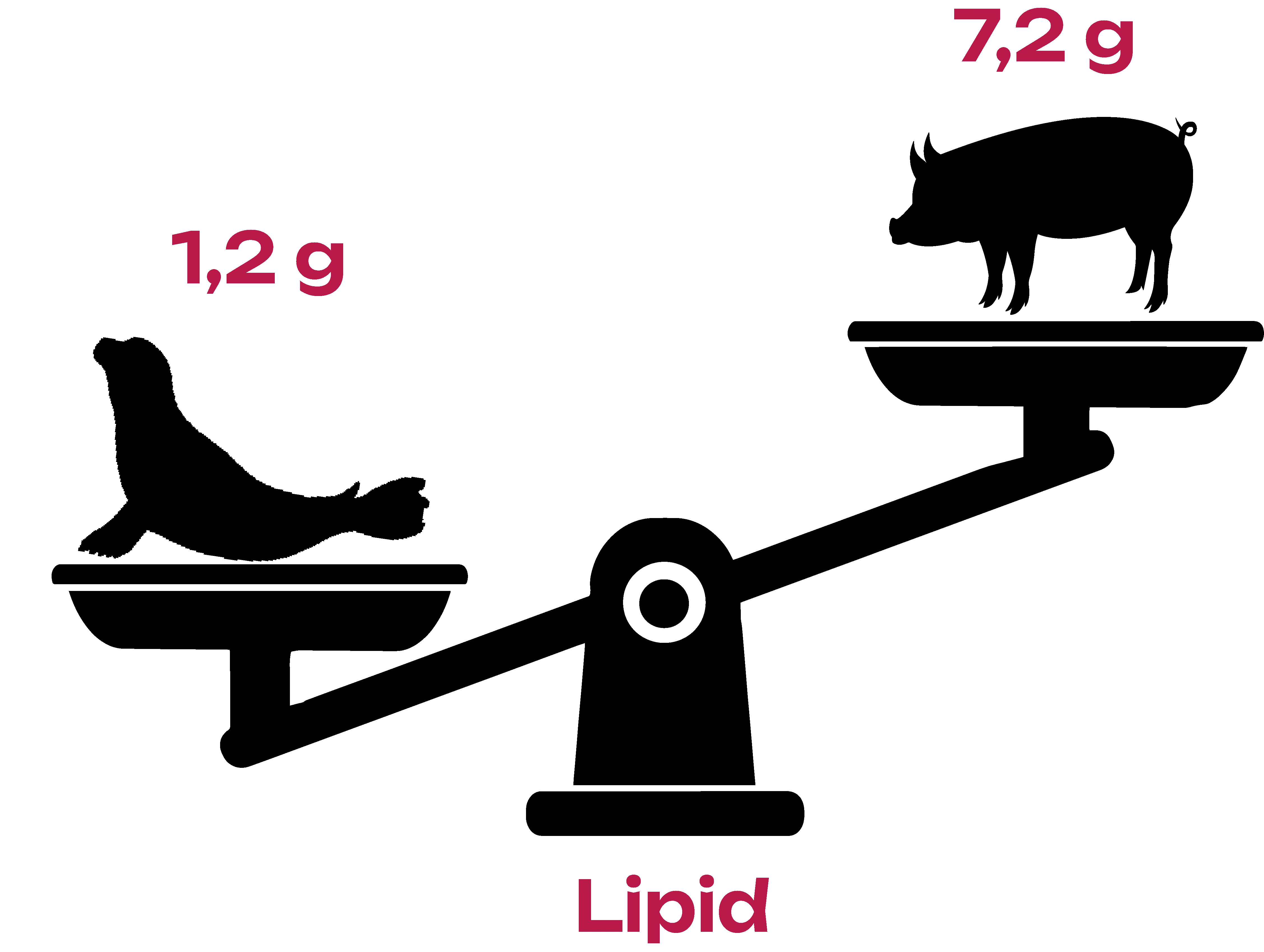 Illustration of a scale showing lipid content. On the lowest pan is a seal marked 1.2 g. On the highest platter is a pig, marked 7.2 g.