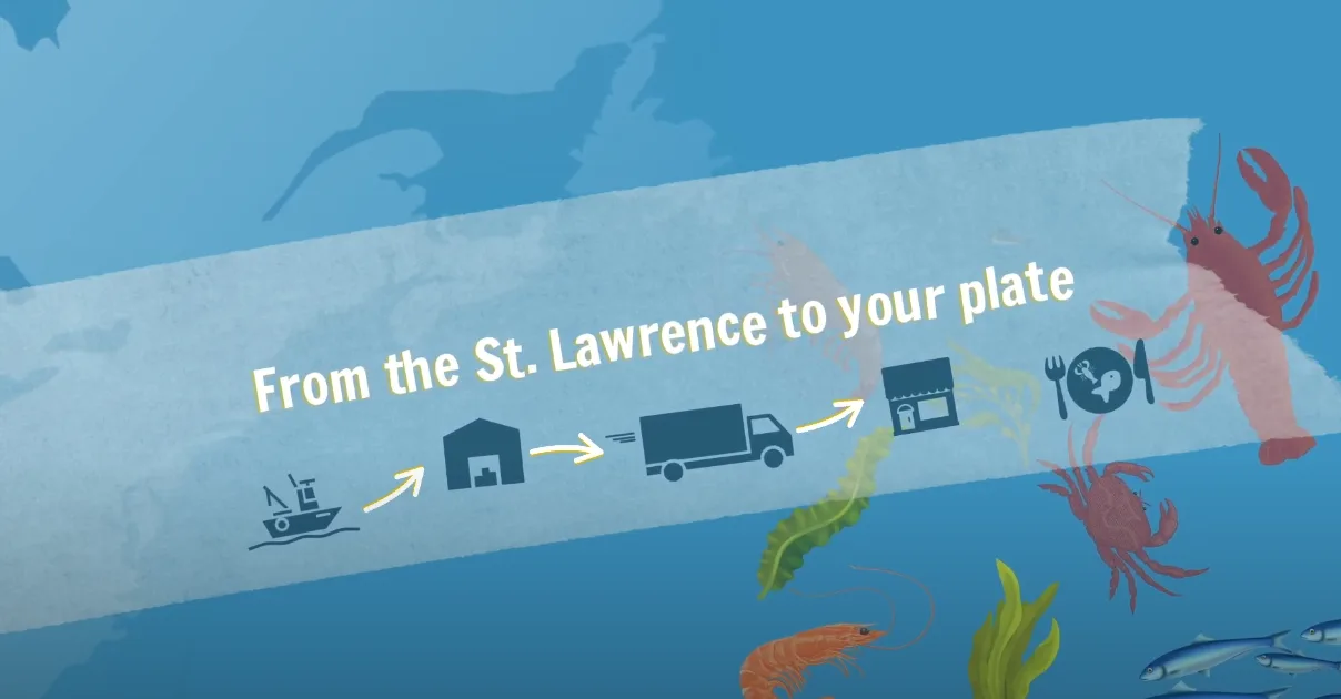 Title of the animation video: From the St. Lawrence to your plate.