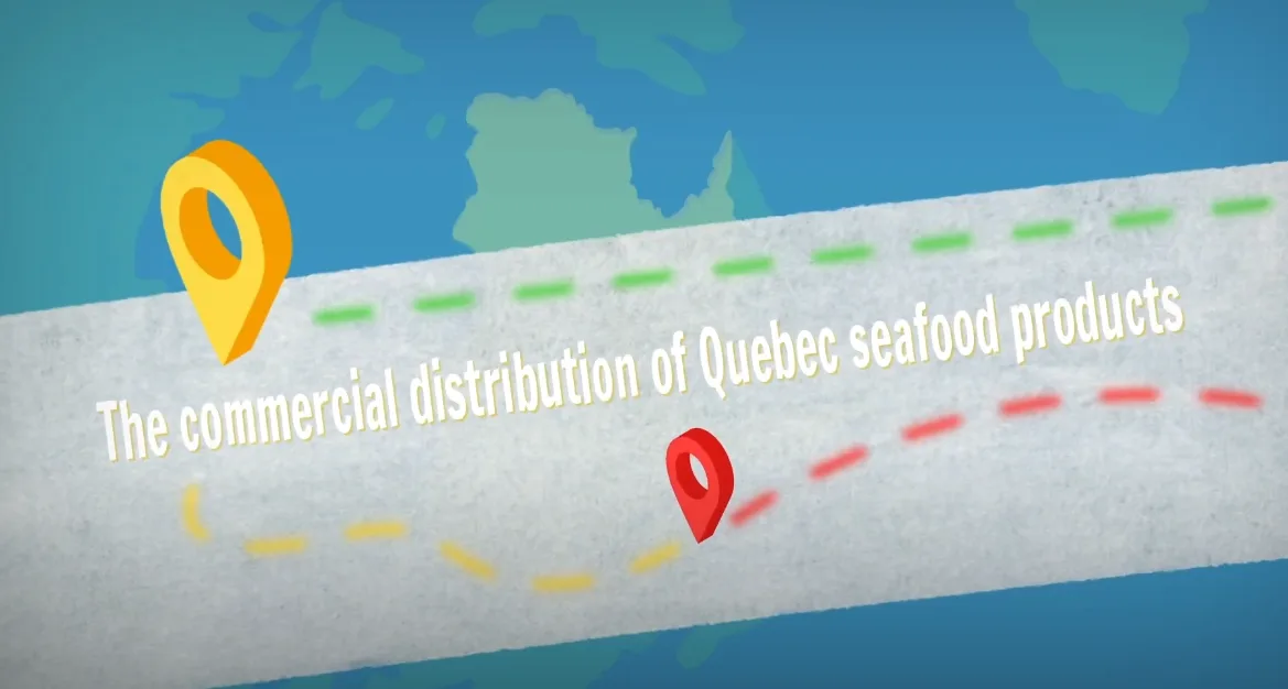 Title of the animation video: The commercial distribution of Quebec seafood products.